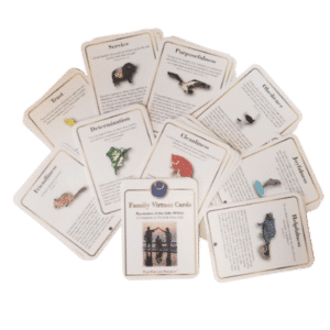 Family Virtue Cards fronts