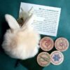 Cuddlebunny, comfort coins and instruction card