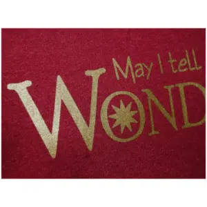 You’re Wonderful T-shirt - closeup