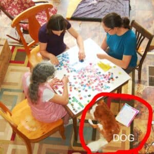 PRO TIP: Don't let a dog eat your pieces or the poster.