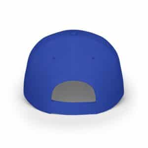 Unity in Diversity Cap - back