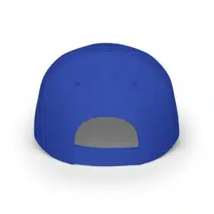 Unity in Diversity Cap - back
